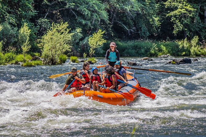 Experience image for Full-Day Rogue River Hellgate Canyon Raft Tour
